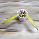 CM Photogrid 1776442260425