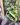 CM Photogrid 1778445779890