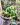 CM Photogrid 1778445801665