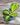 CM Photogrid 1778857831095
