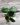 CM Photogrid 1778858765234
