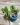 CM Photogrid 1778858871084