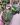 CM Photogrid 1779549247127