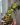 CM Photogrid 1779558302545