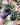 CM Photogrid 1779581604781
