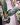 CM Photogrid 1779660676952