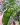 CM Photogrid 1779730964480