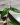 CM Photogrid 1779758305415