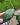 CM Photogrid 1780601938605