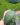 CM Photogrid 1780601950377